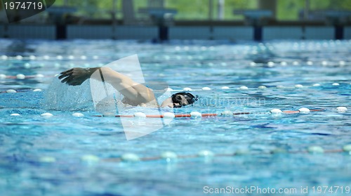 Image of swim pool