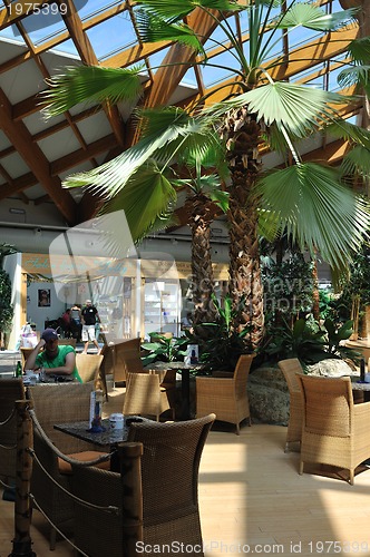 Image of tropical restaurant indoor