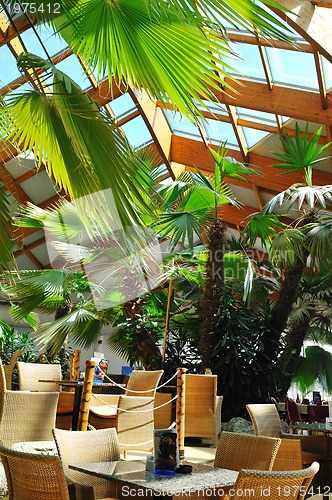 Image of tropical restaurant indoor