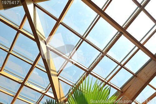 Image of palm and wooden roof construction