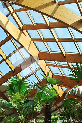 Image of palm and wooden roof construction