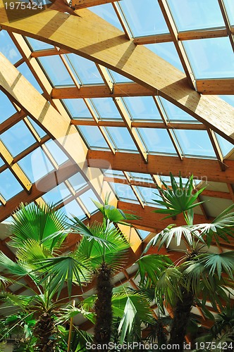 Image of palm and wooden roof construction