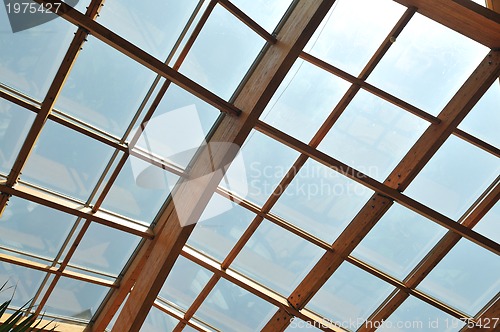 Image of palm and wooden roof construction