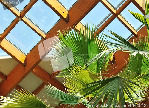 Image of palm and wooden roof construction