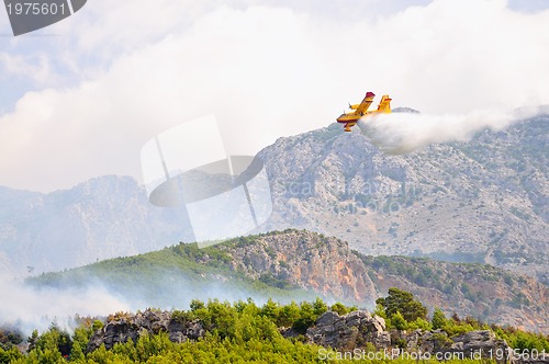 Image of Airplane droping water on fire 