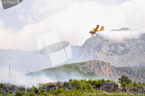 Image of Airplane droping water on fire 