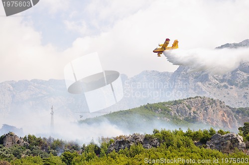 Image of Airplane droping water on fire 