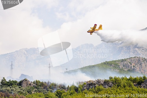 Image of Airplane droping water on fire 