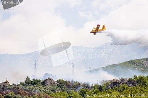 Image of Airplane droping water on fire 