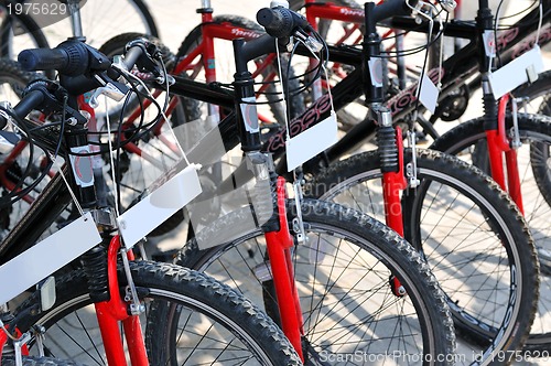 Image of Bicycles for rent