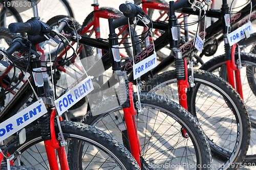 Image of Bicycles for rent