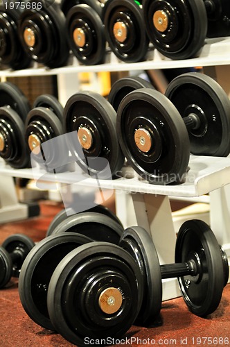 Image of FItness club gym 