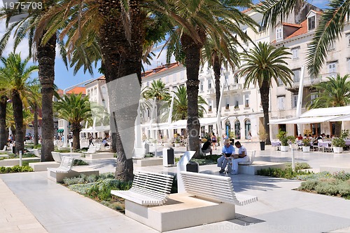 Image of People on holiday sitting under palm