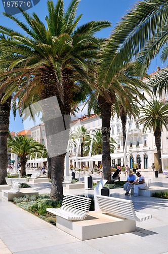 Image of People on holiday sitting under palm