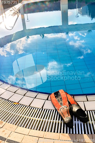 Image of Scuba on the edge of outdoor pool