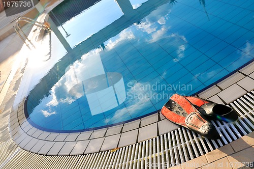 Image of Scuba on the edge of outdoor pool