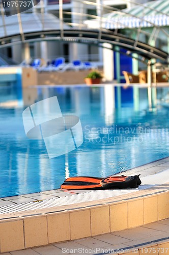 Image of Scuba on the edge of outdoor pool