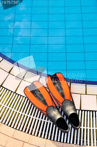 Image of Scuba on the edge of outdoor pool