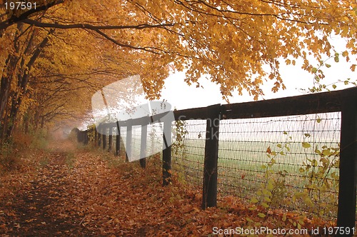 Image of fence mist