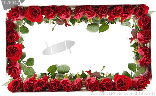 Image of red roses frame 