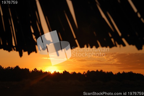 Image of sunshine on beach with beach umbrellas silhouette