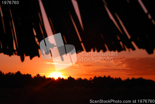 Image of sunshine on beach with beach umbrellas silhouette