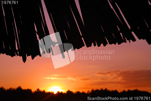 Image of sunshine on beach with beach umbrellas silhouette