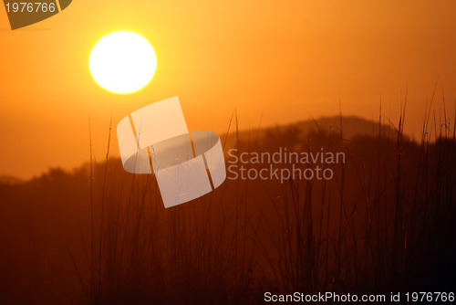 Image of summer sunrise