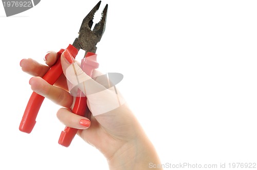 Image of woman tool