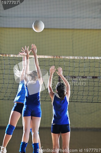 Image of volleyball 