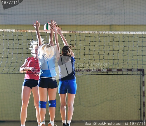 Image of volleyball 