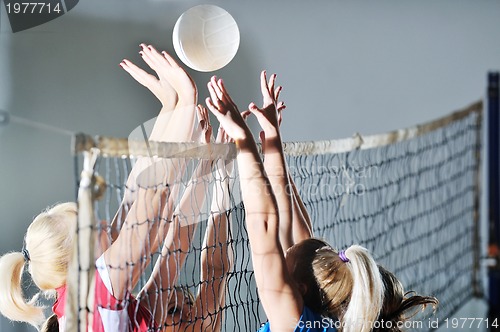 Image of volleyball 