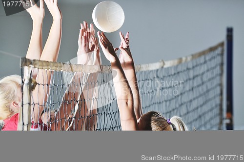 Image of volleyball 