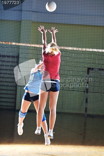 Image of volleyball 