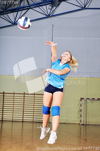 Image of volleyball 