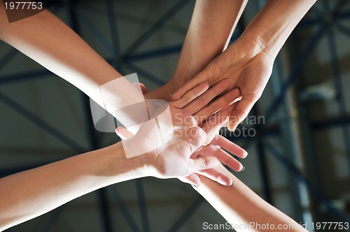 Image of volleyball 