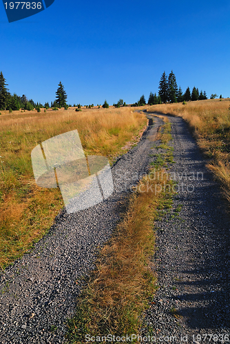 Image of landscape