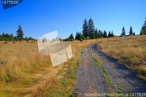 Image of landscape