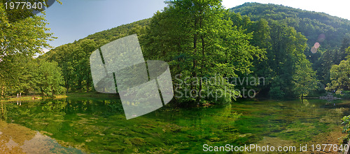 Image of lake in pure nature