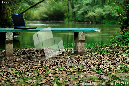 Image of nature park landscape outdoor