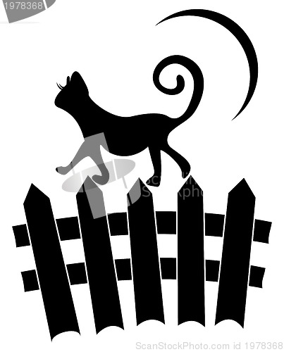 Image of Cat on fence