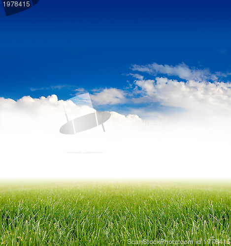 Image of green grass under blue sky