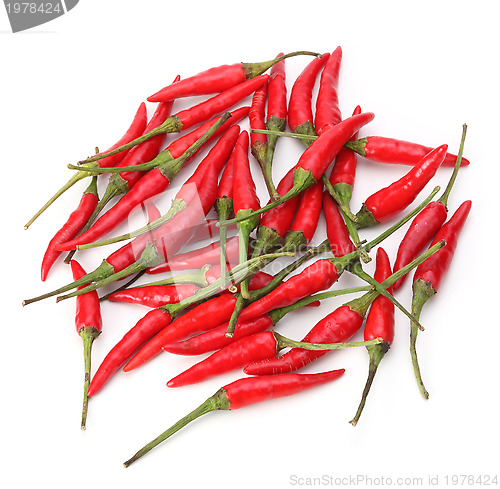 Image of red chili pepper