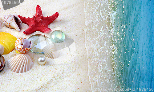 Image of sea shells on sand beach