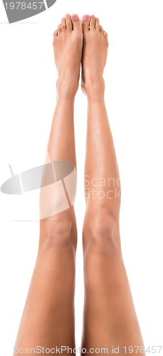 Image of lovely female legs 