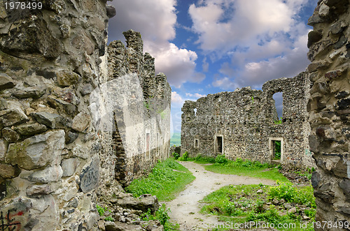 Image of The ruins of Nevitsky castle 