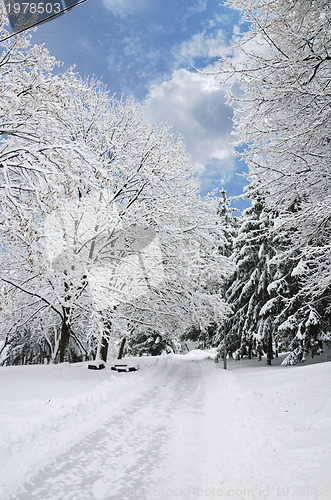 Image of Landscape in Winter Park