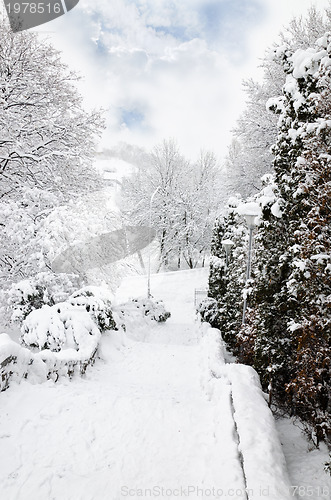 Image of Landscape in Winter Park