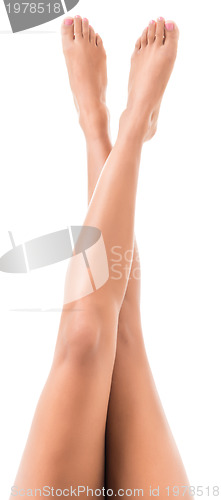 Image of lovely female legs 