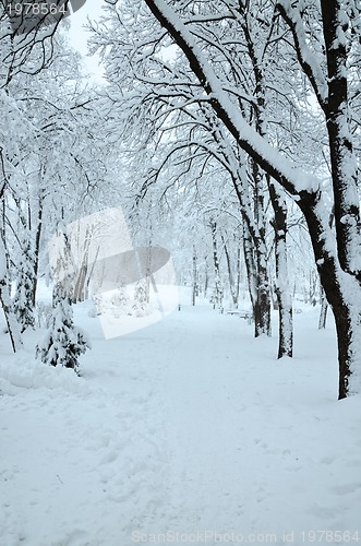 Image of Landscape in Winter Park